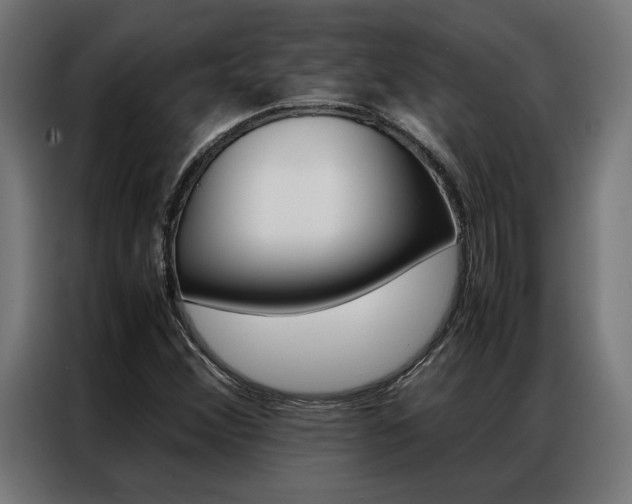 X0000086971356200704161137