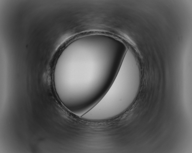 X0000086971360200704161137