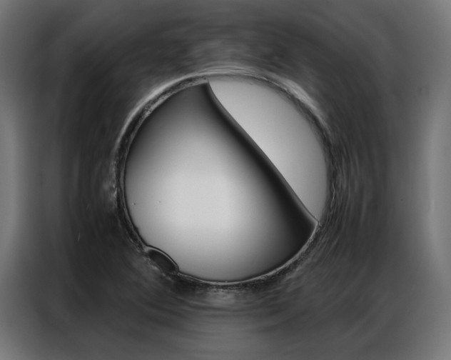 X0000086971364200704161137