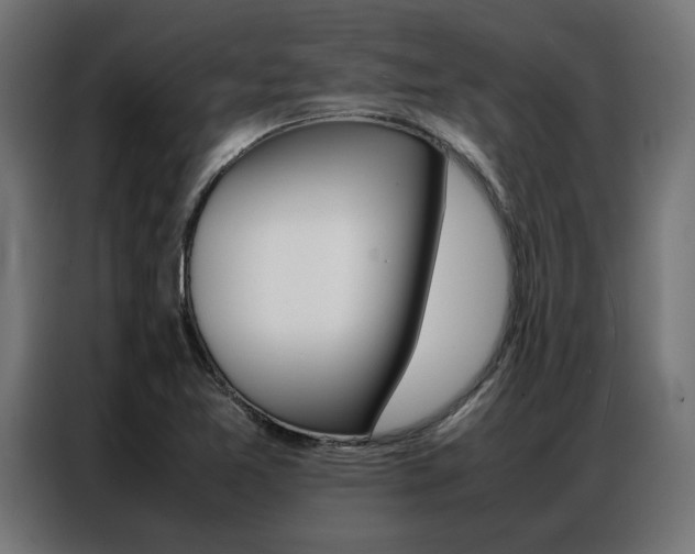 X0000086971365200704161137