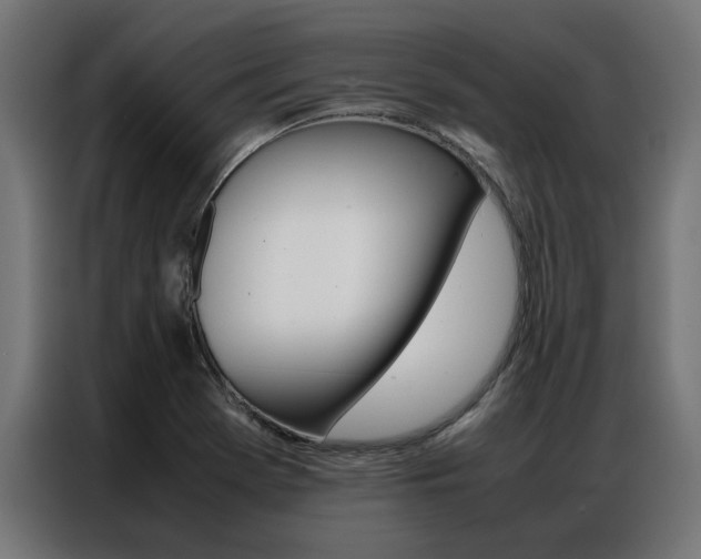 X0000086971369200704161137