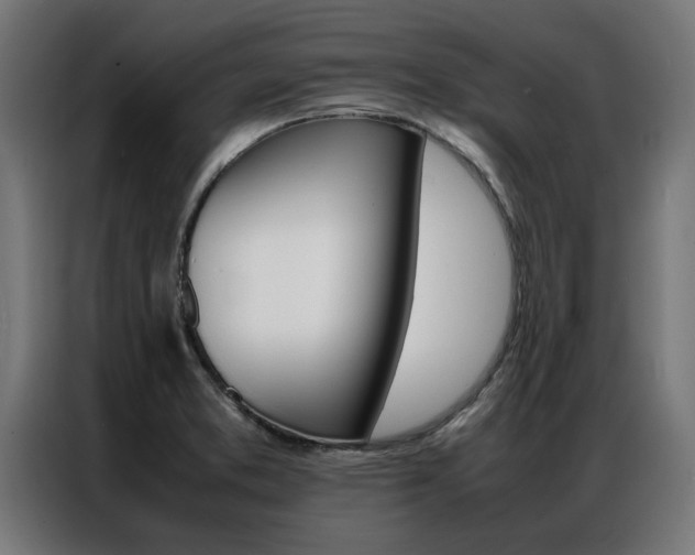 X0000086971373200704161136