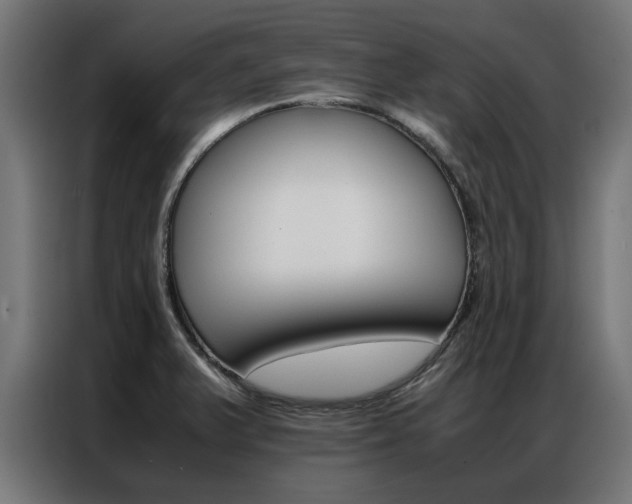X0000086971375200704161136