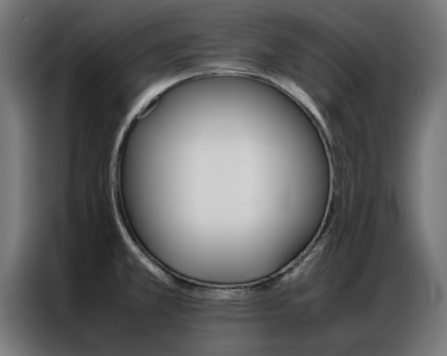 X0000086971381200704161136