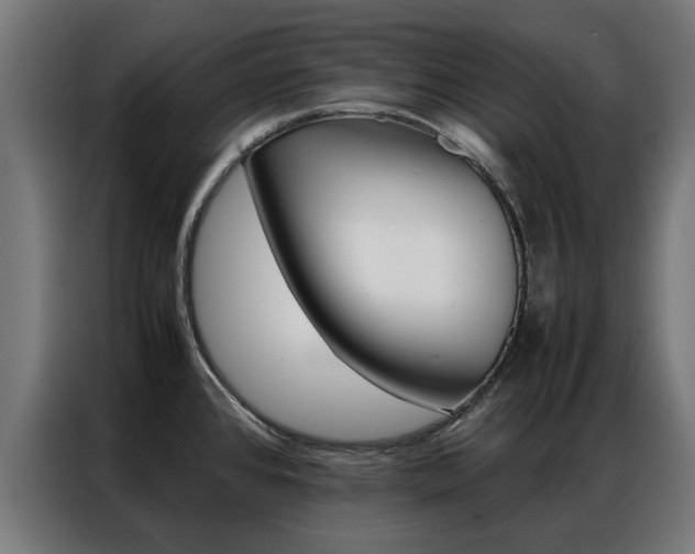 X0000086971384200704161136