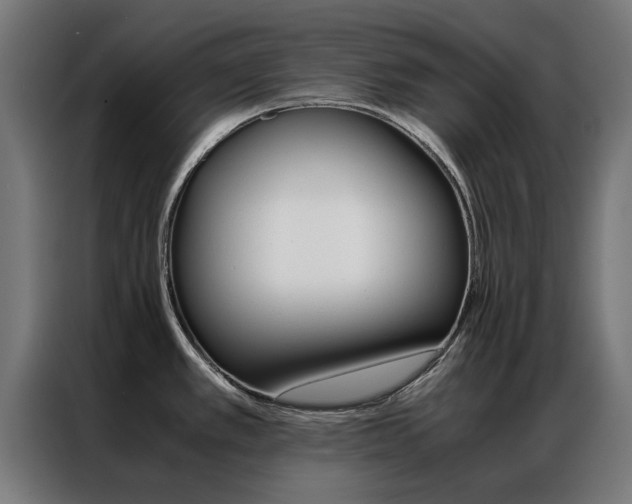 X0000086971389200704161136