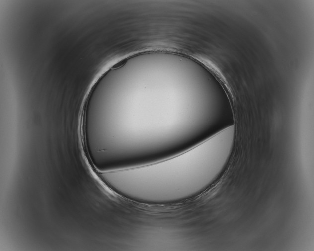 X0000086971391200704161136