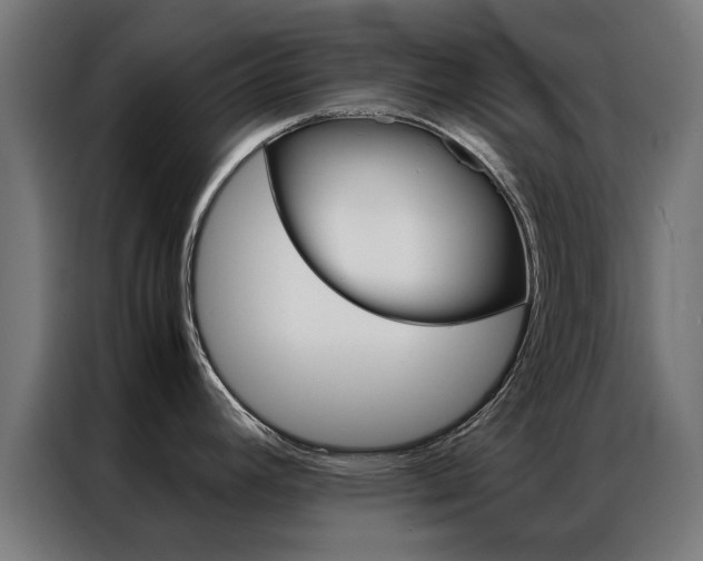 X0000086971392200704161136