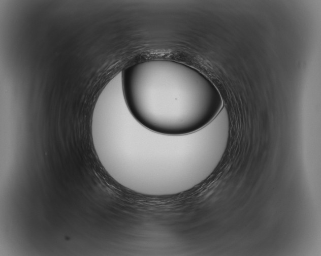 X0000086971394200704161136