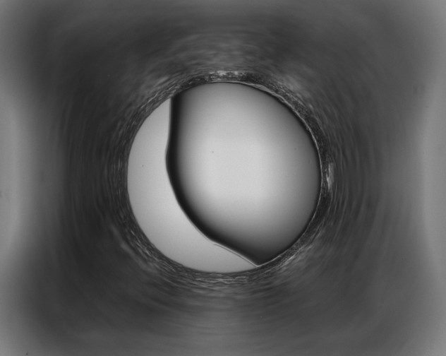 X0000086971396200704161136
