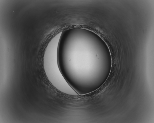 X0000086971398200704161136
