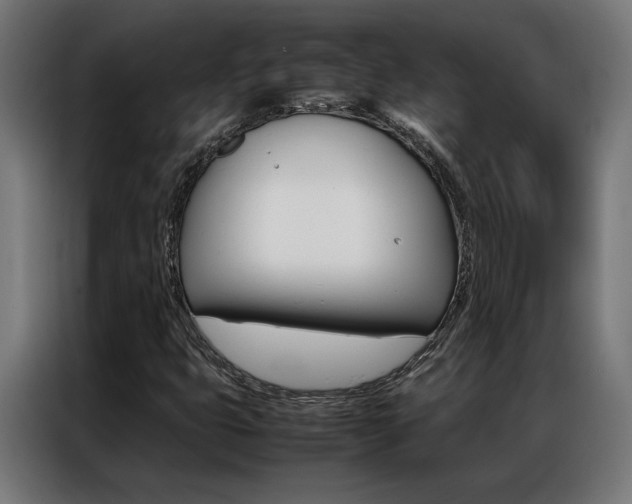 X0000086971399200704161136