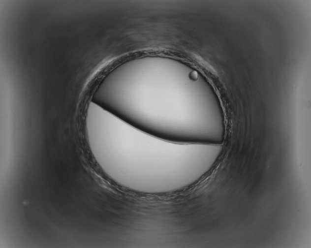 X0000086971400200704161136