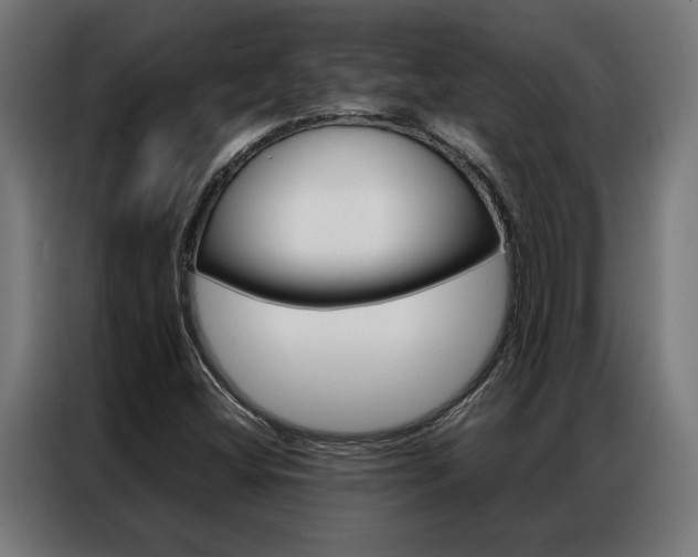 X0000086971404200704161136