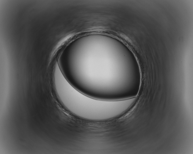 X0000086971406200704161136