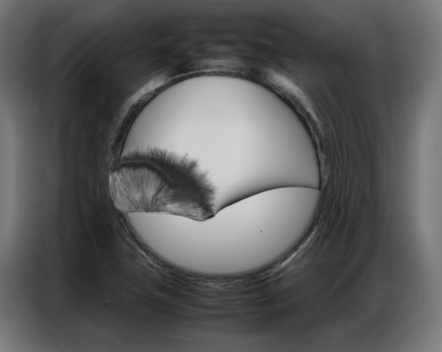 X0000086971411200704161136