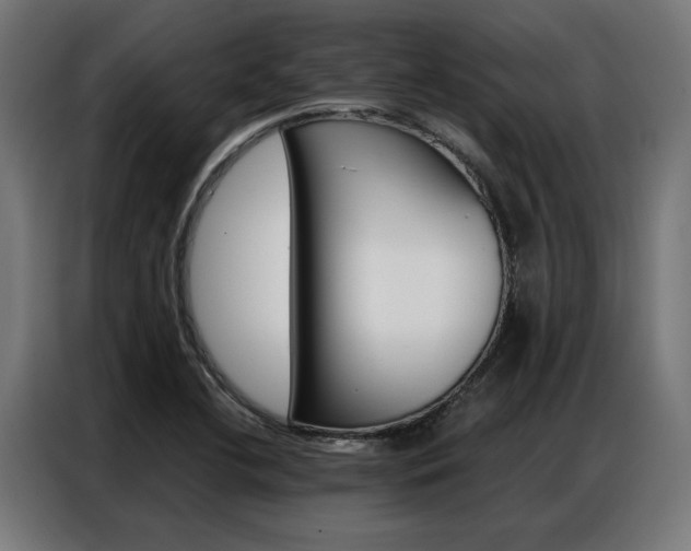 X0000086971412200704161136