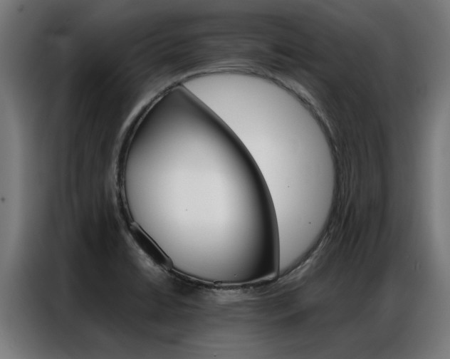 X0000086971422200704161136