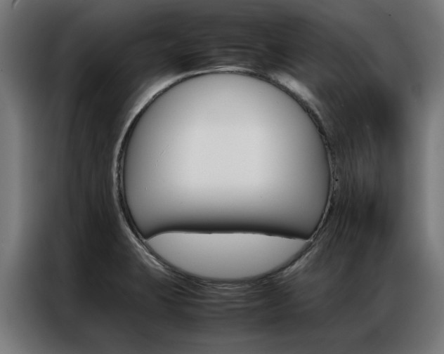X0000086971423200704161136