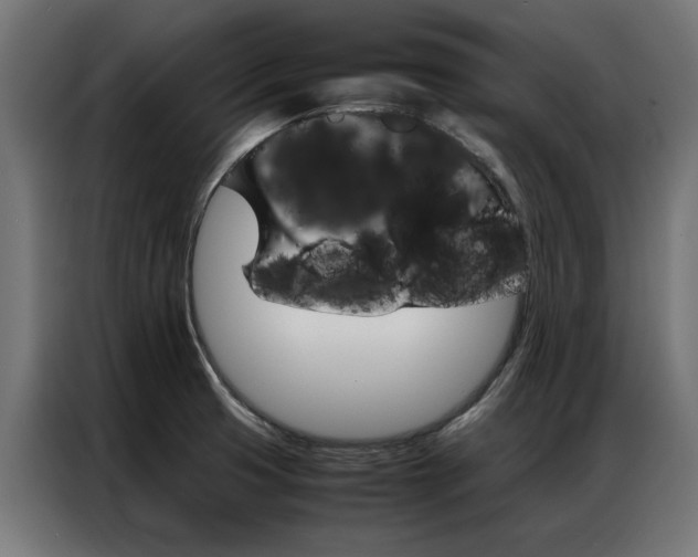 X0000086971425200704161136