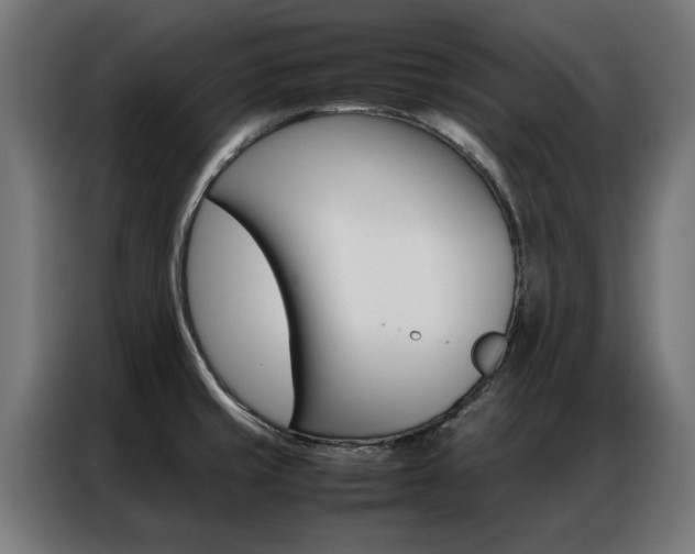 X0000086971429200704161136
