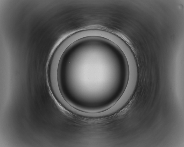 X0000086971430200704161136