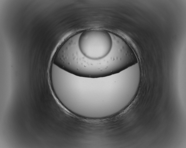 X0000086971432200704161136
