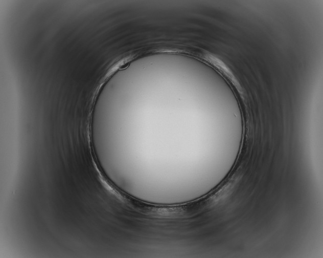 X0000086971433200704161136