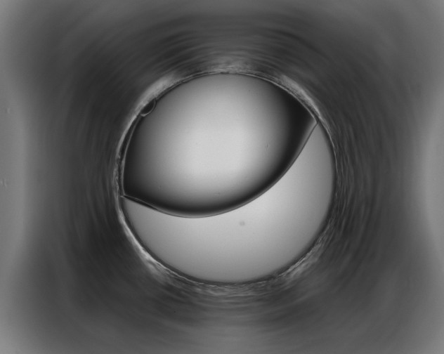 X0000086971434200704161136
