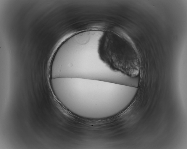 X0000086971435200704161136