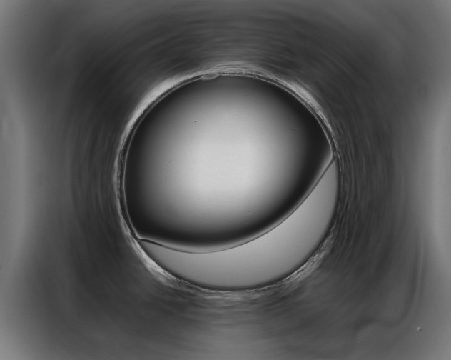 X0000086971438200704161136