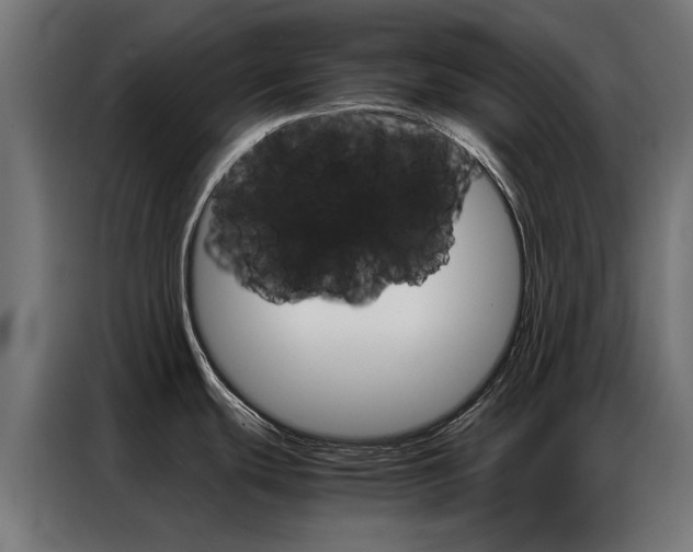 X0000086971439200704161136
