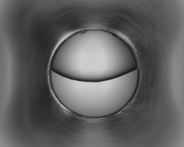 X0000086971440200704161136