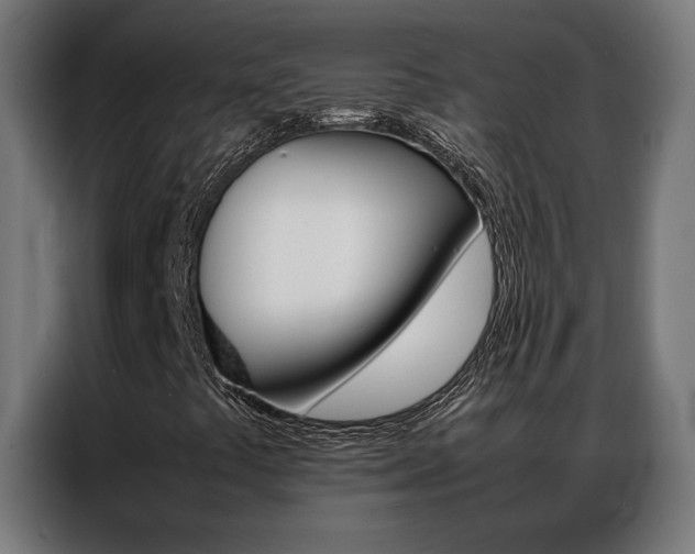 X0000086971441200704161135