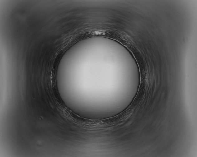 X0000086971442200704161135