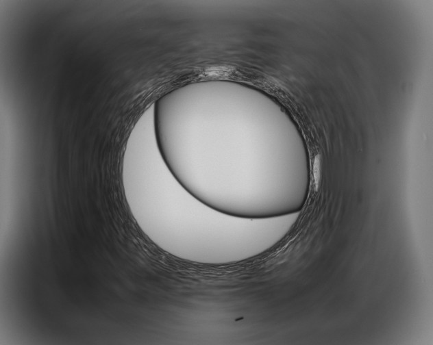 X0000086971443200704161135