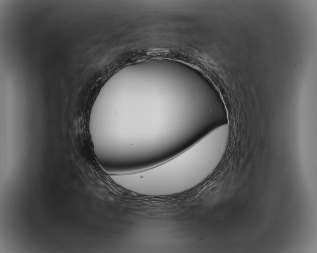 X0000086971445200704161135