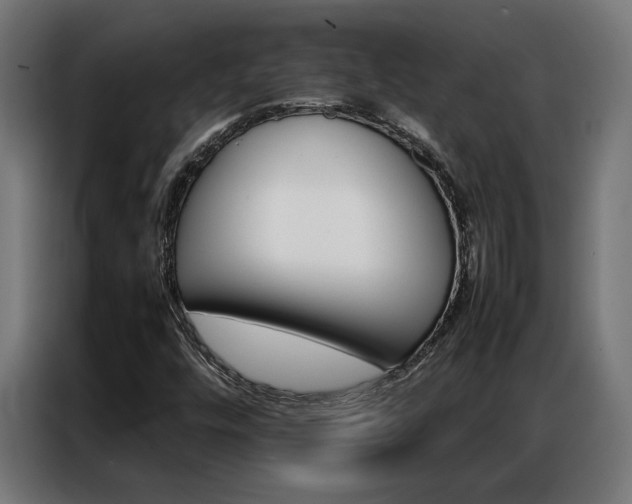 X0000086971448200704161135