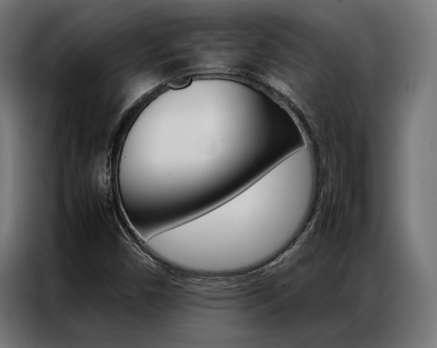 X0000086971450200704161135