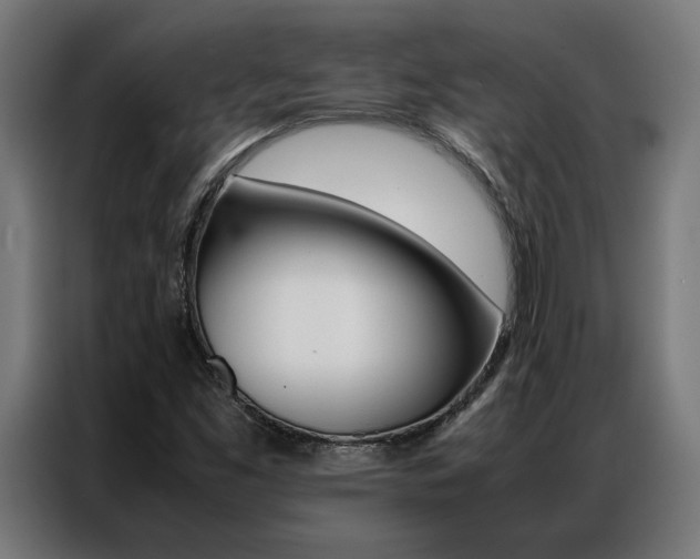 X0000086971453200704161135