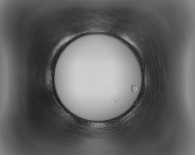 X0000086971454200704161135