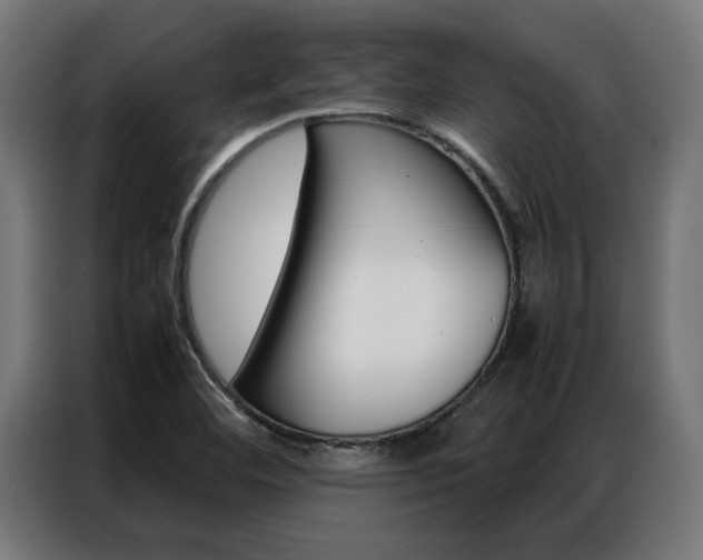 X0000086971460200704161135