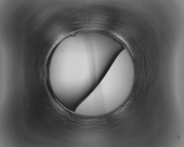 X0000086971467200704161135