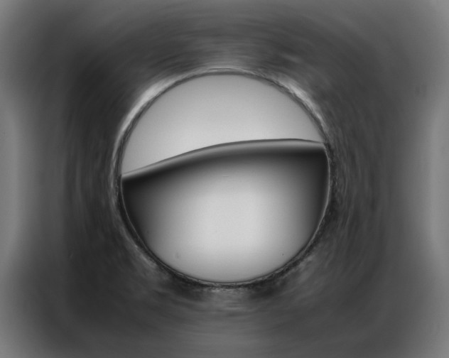 X0000086971469200704161135