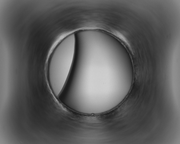 X0000086971472200704161135