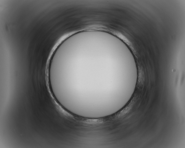 X0000086971478200704161135