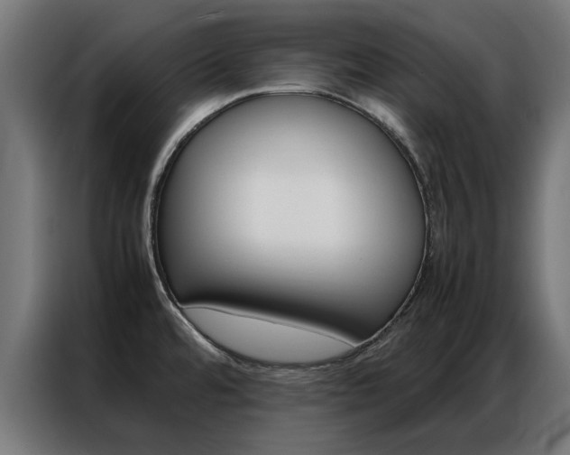 X0000086971480200704161135