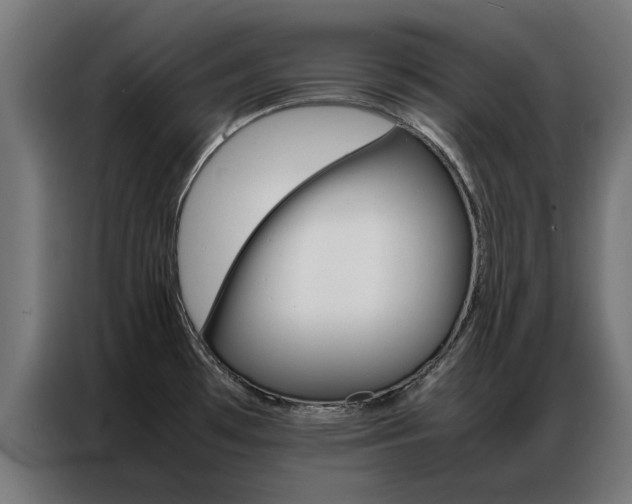X0000086971481200704161135