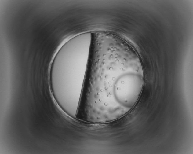 X0000086971483200704161135