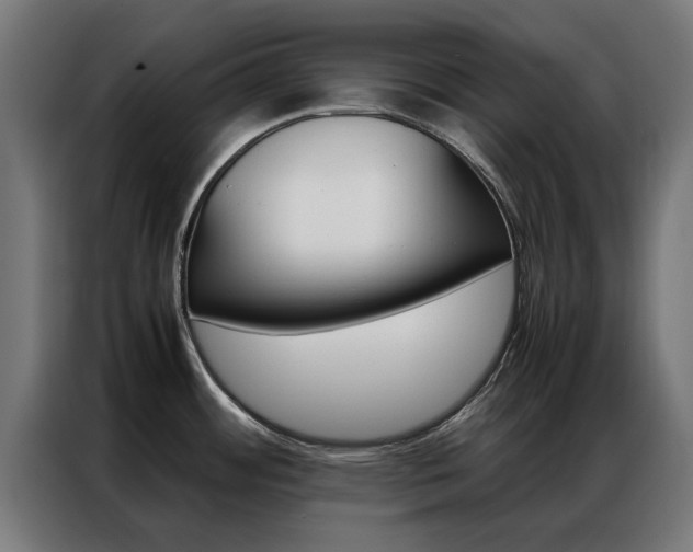 X0000086971484200704161135